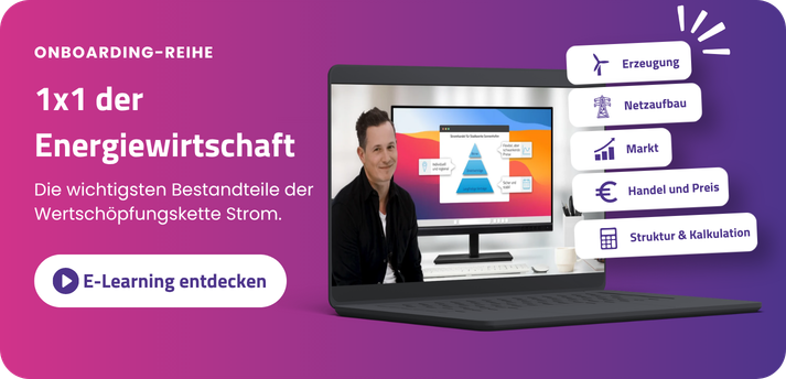 energiewirtschaft